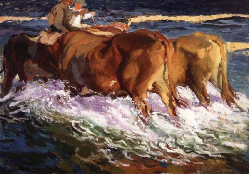 Joaquin Sorolla Y Bastida Oxen Study for the Afternoon Sun Germany oil painting art